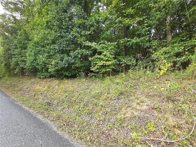 Land for sale in Adairsville, Bartow County