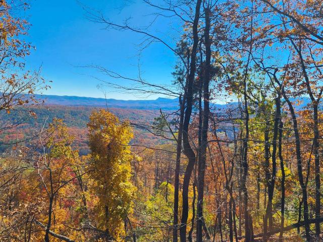 Land for sale in Virginia