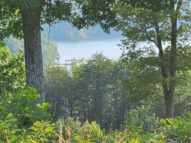 Land for sale in Hiawassee, Towns County