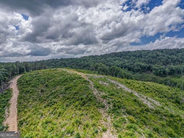 Land for sale in Lindale, Georgia