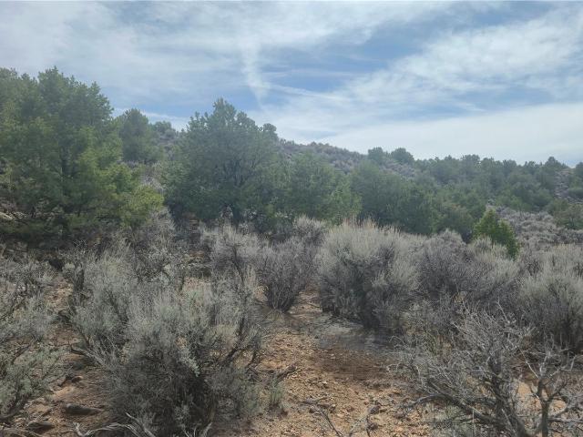 Land for sale in Fort Garland, Colorado