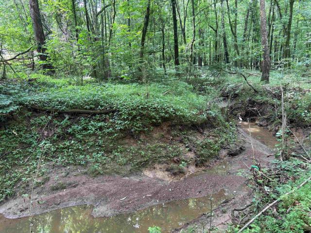Land for sale in Tennessee