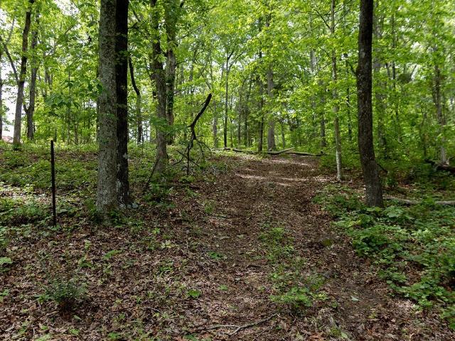 Land for sale in Tennessee