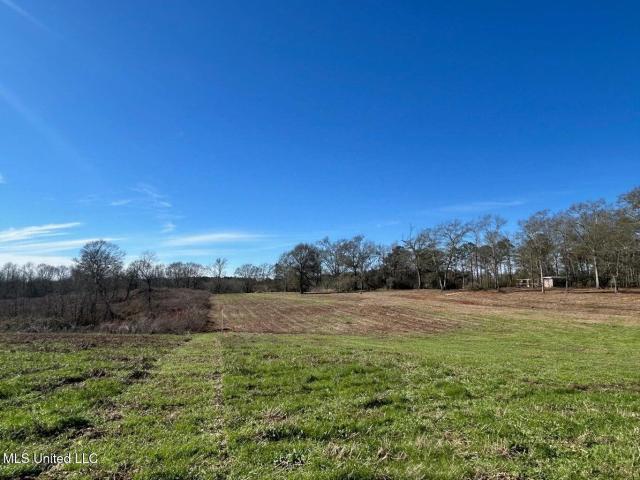 Land for sale in Mccomb, Mississippi
