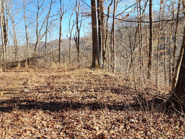 Land for sale in Powell, Kentucky