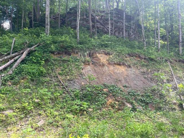 Land for sale in Powell, Kentucky