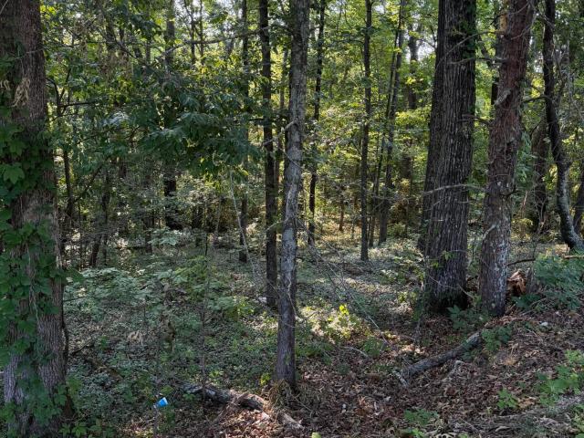Land for sale in Tennessee