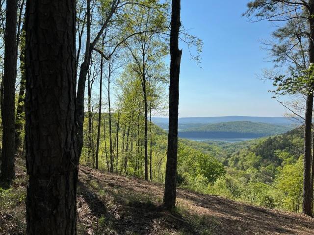 Land for sale in Tennessee