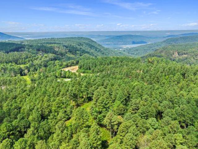 Land for sale in Tennessee