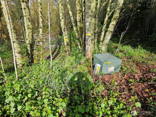 Land for sale in Mossyrock, Washington