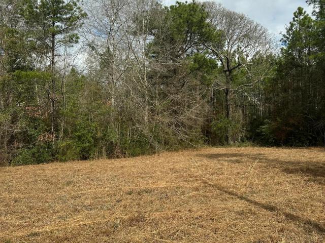 Land for sale in Lumberton, Mississippi