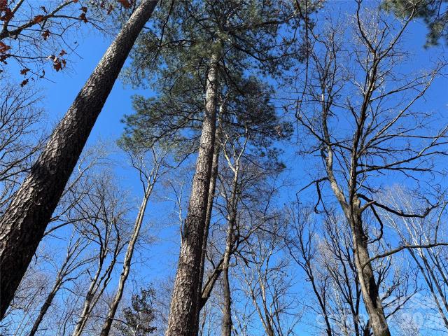 Land for sale in Troy, North Carolina
