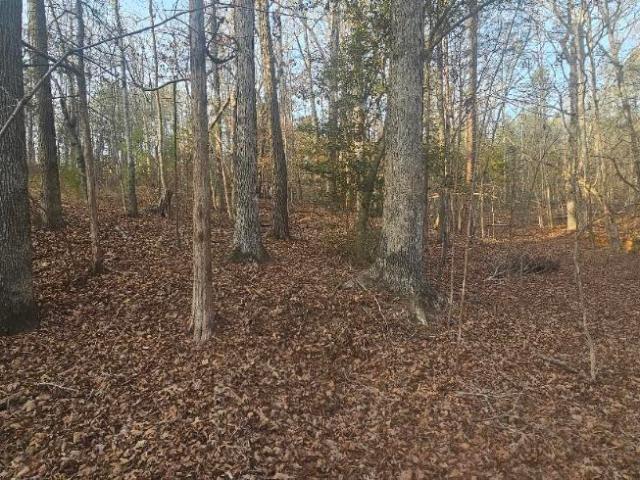 Land for sale in Pauline, South Carolina