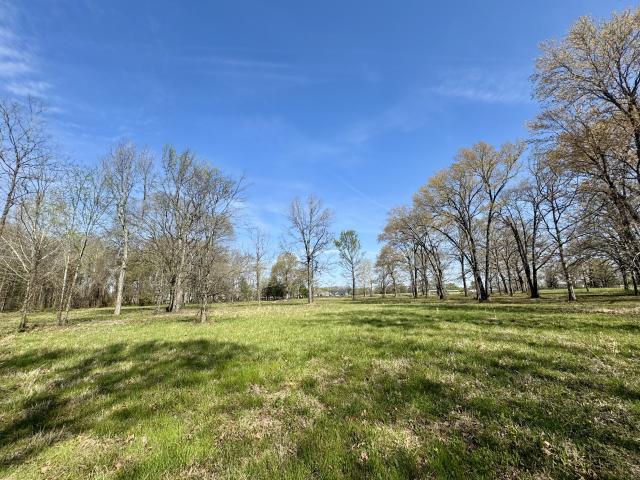 Land for sale in Tennessee