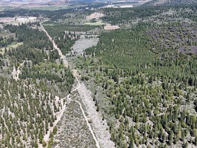 Land for sale in Weed, California