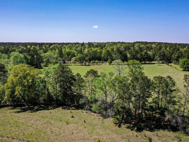Land for sale in Walker, Texas
