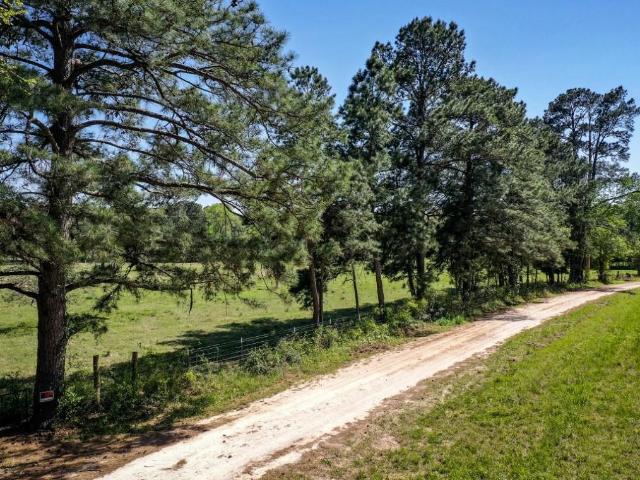 Land for sale in Walker, Texas