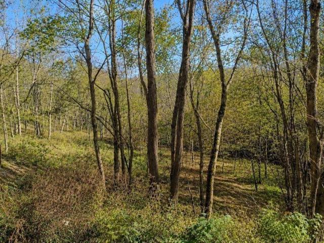 Land for sale in Tennessee