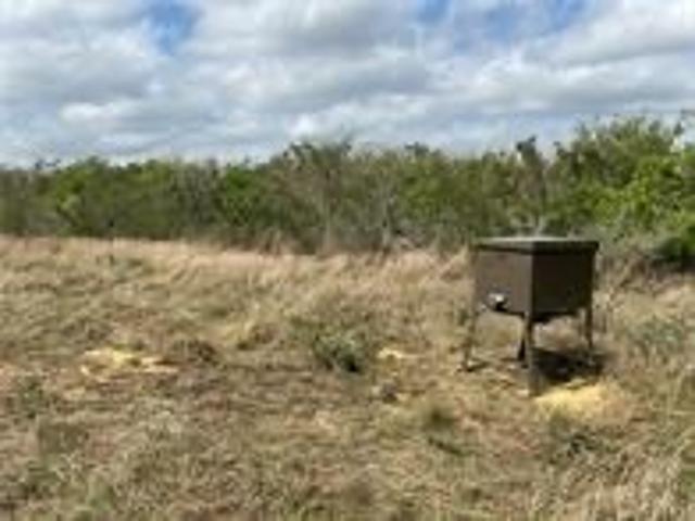 Land for sale in George West, Texas