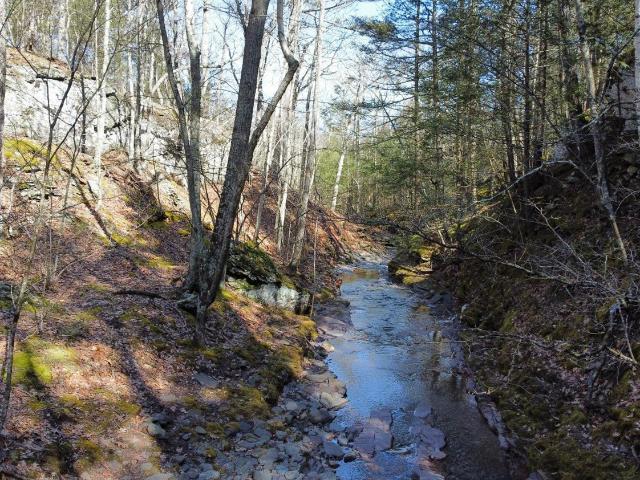 Land for sale in Acra, New York