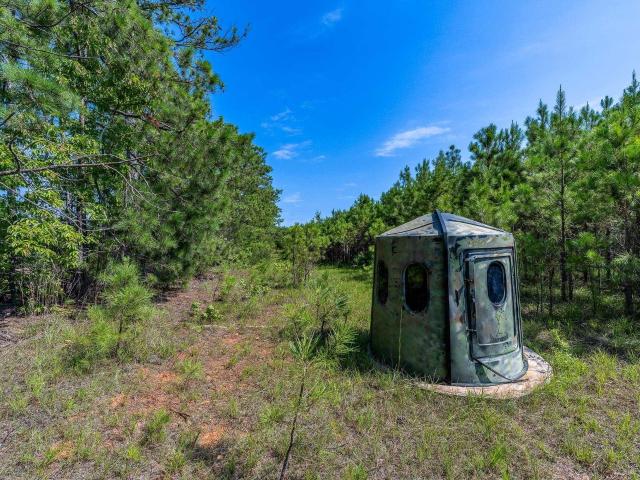 Land for sale in Iva, South Carolina