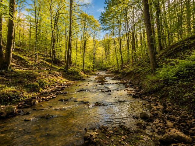 Land for sale in Manchester, Kentucky