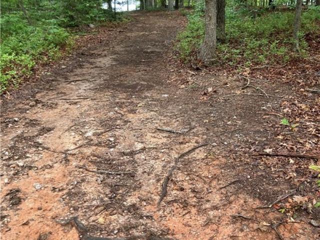 Land for sale in Virginia