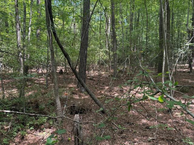Land for sale in Mount Gilead, North Carolina