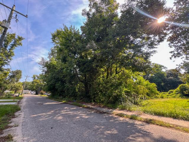 Land for sale in Walterboro, South Carolina