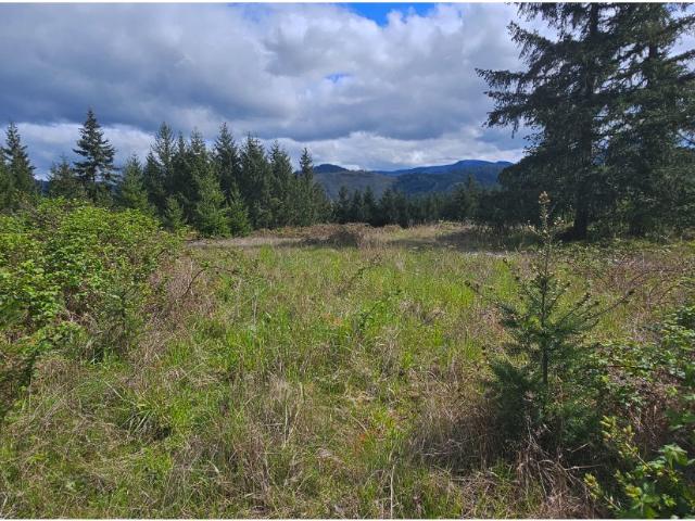 Land for sale in Dorena