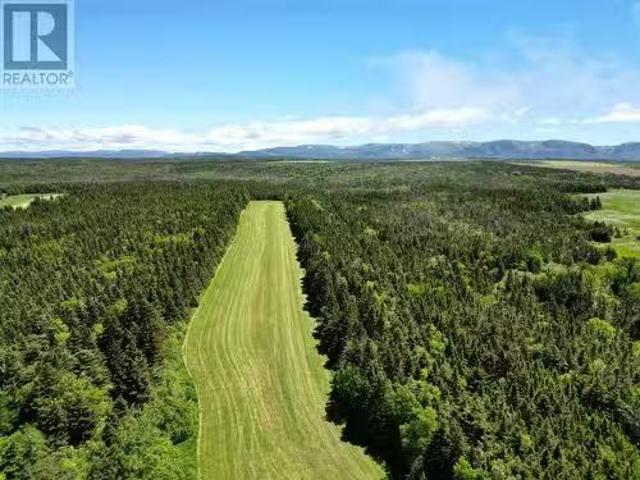 House for sale in Newfoundland And Labrador