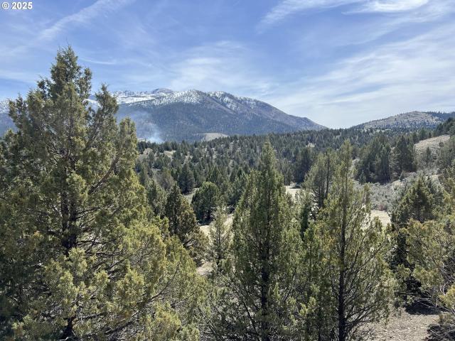 Land for sale in Canyon City