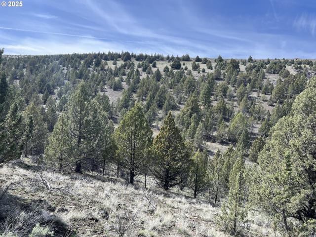 Land for sale in Oregonia