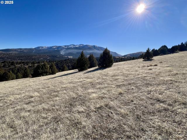 Land for sale in Canyon City