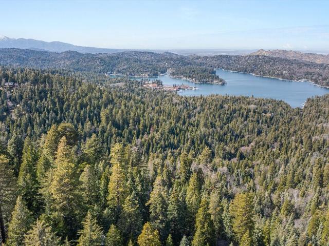 Property for sale in Cedar Glen, California