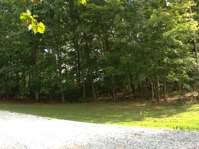 Land for sale in Tennessee
