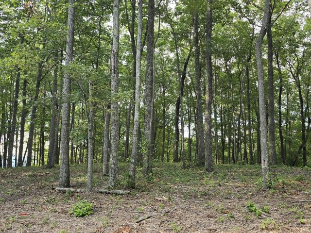 Land for sale in Tennessee