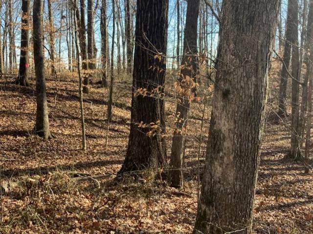 Land for sale in Tennessee