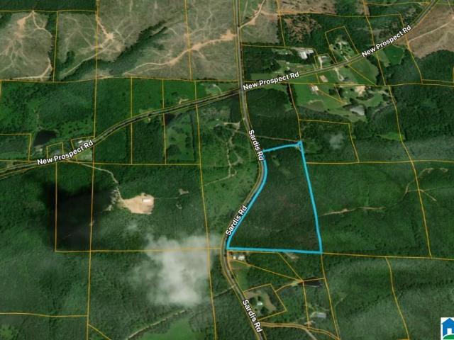 Land for sale in Ashland, Alabama
