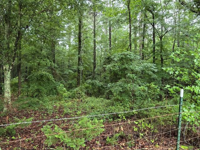 Land for sale in Athens, Georgia
