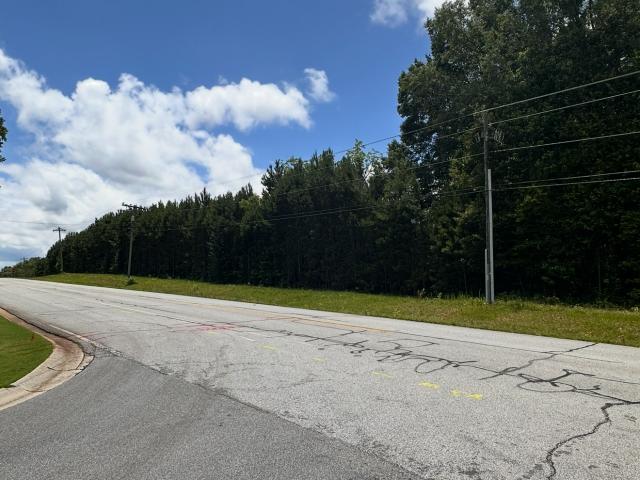 Land for sale in Sharpsburg, Georgia