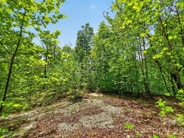 Land for sale in Old Fort, North Carolina