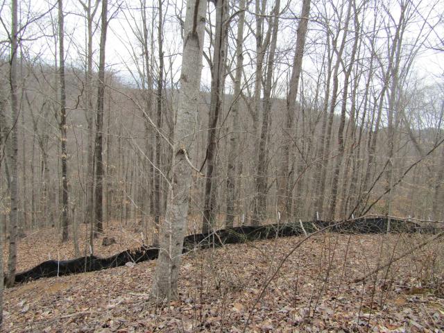 Land for sale in Tennessee