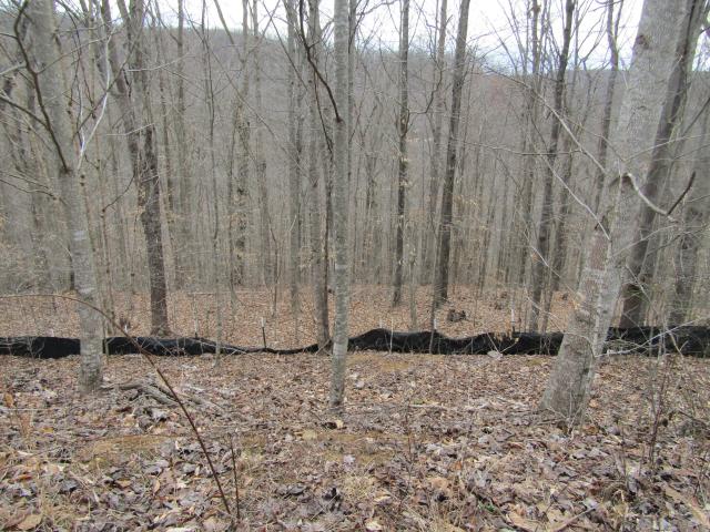 Land for sale in Tennessee