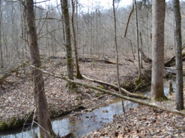Farm for sale in Tennessee