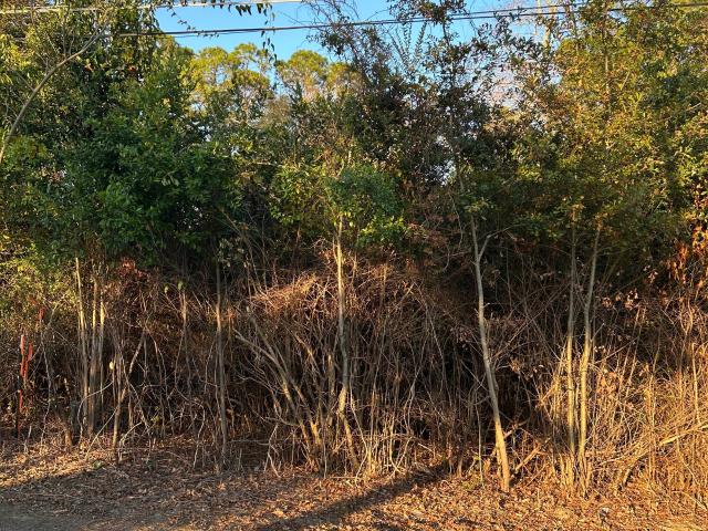 Land for sale in Helena, Georgia
