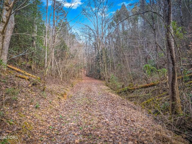 Land for sale in Tennessee