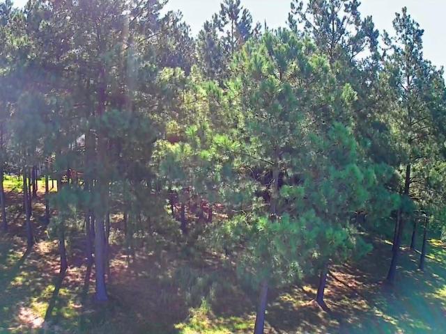 Land for sale in Jasper, East Tennessee
