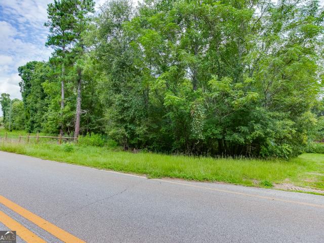 Land for sale in Banks, Georgia