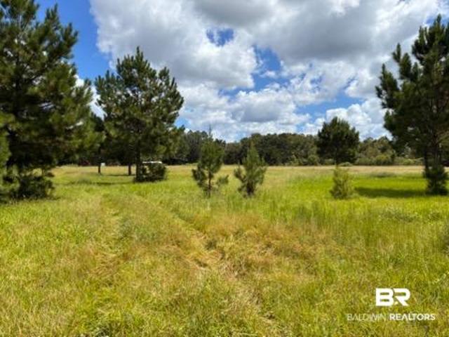 Land for sale in Elberta, Alabama